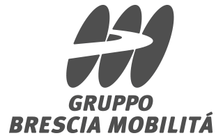 2 logo-BSM copia