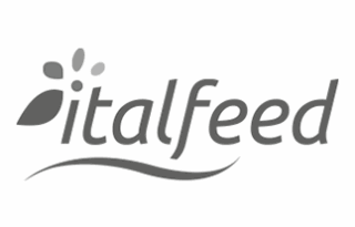 LOGO italfeed